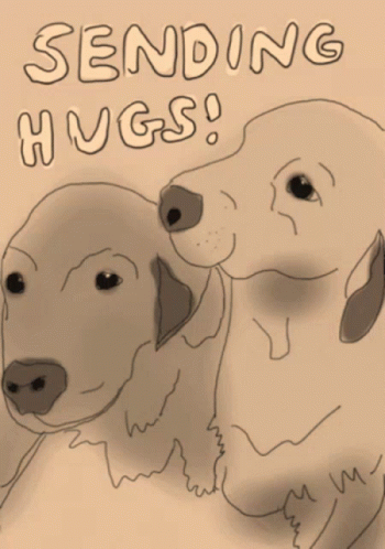 Setter Dogs Sending Hugs GIF