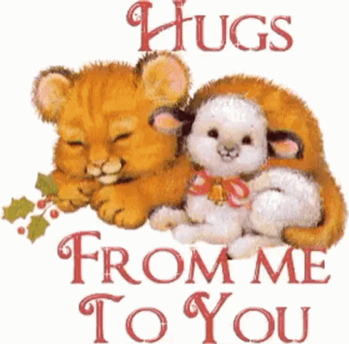 Sending Hugs From Me To You GIF