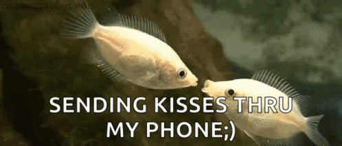 Sending Kisses Thru My Phone GIF