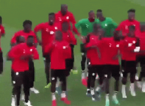 Senegal Team Football Time GIF