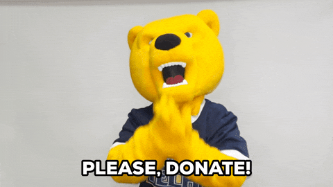 Senior Year Bear Mascot Please Donate GIF