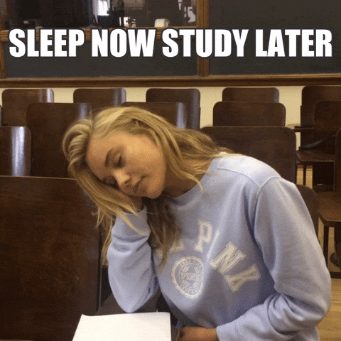 Senior Year Sleep Now Study Later GIF