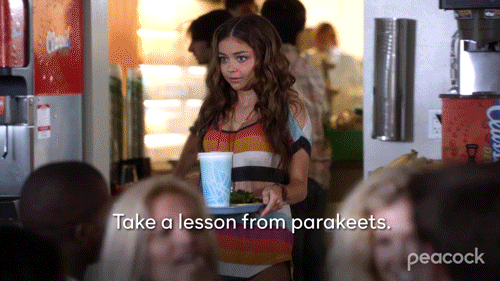 Senior Year Take Lesson From Parakeets GIF