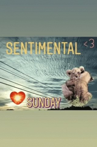 Sentimental Sunday Sign With Hugging Animals