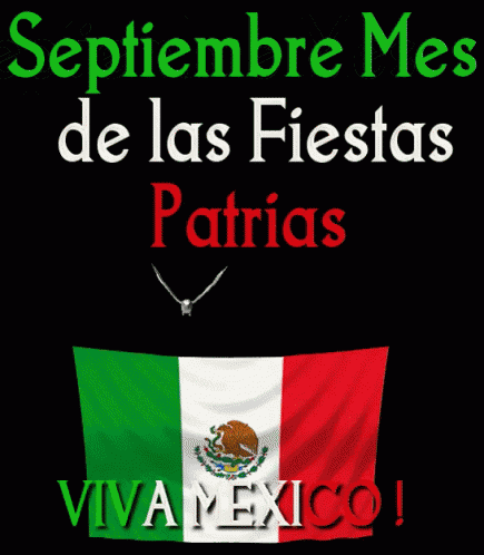 september mes de las fiestas patrias viva mexico with a flag in the foreground