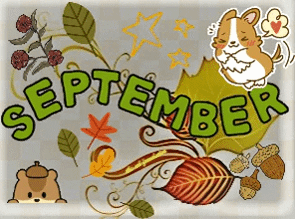 September's Here Acorn Season GIF