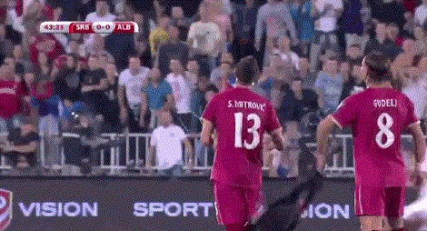 Serbia Albania Euro Brawl GIF