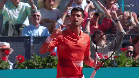 Serbia Djokovic Fist Pump GIF