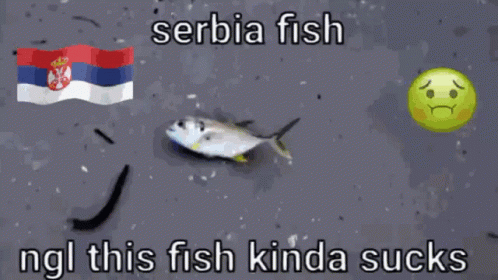 Serbia Fish Kinda Sucks GIF