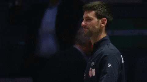 Serbia Flag Djokovic Tennis GIF