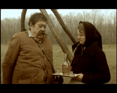 Serbia Pavle Vuisic Movie GIF