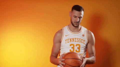 Serbia Plavsic Tennessee Ball GIF