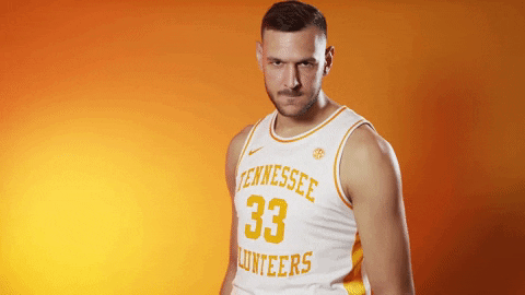 Serbia Plavsic Tennessee Serious GIF