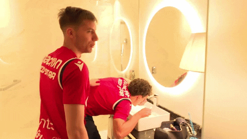 Serbia Red Star Bromance GIF