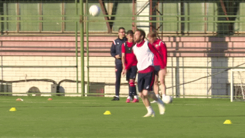 Serbia Red Star Football Kick GIF