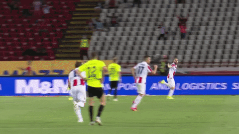 Serbia Red Star Victory GIF