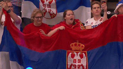 Serbia Sports Fans Cheer GIF