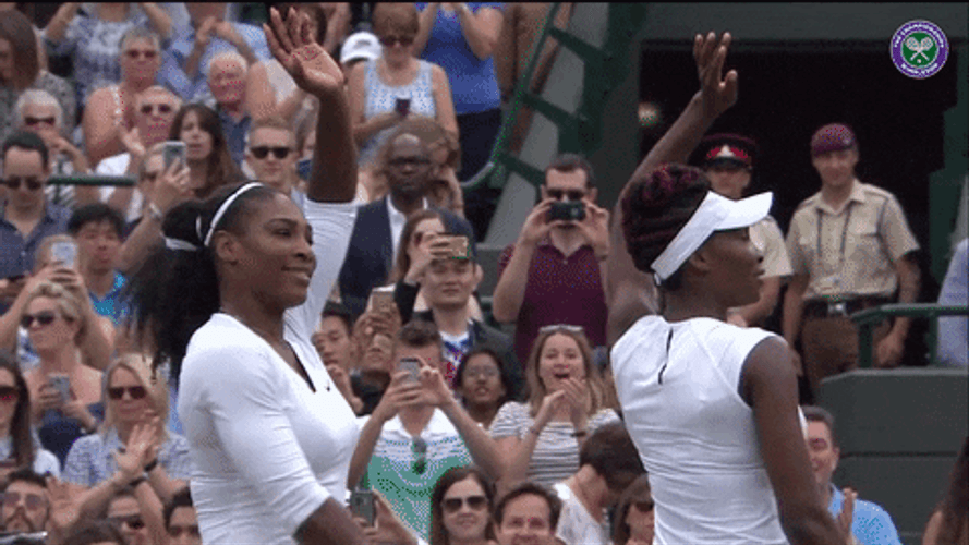 Serena And Venus Williams Waving GIF