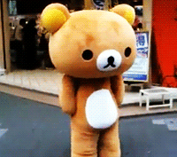 Serious Cute Bear Dancing GIF