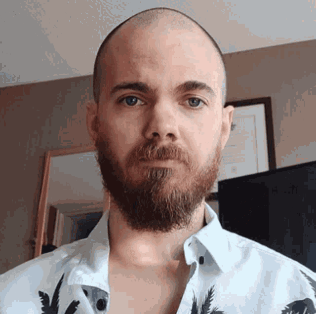 Serious Man Playing Smallest Violin GIF