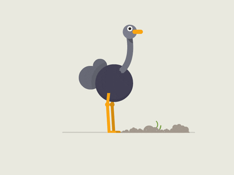 Serious Ostrich Gargling Water GIF