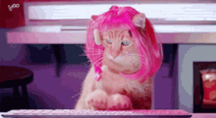 Serious Pink Haired Typing Cat GIF