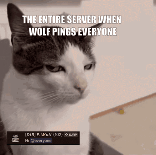 Server Ping Notification