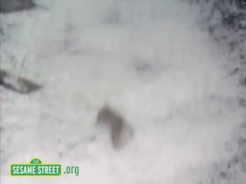 Sesame Street Avalanche GIF