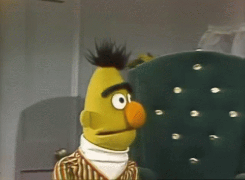 Sesame Street Bert And Ernie GIF