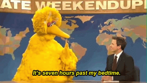Sesame Street Big Bird Is Talking To A Man On A Newscast And Says It 'S Seven Hours Past My Bedtime GIF