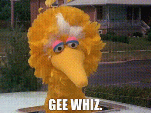Sesame Street Big Bird Says Gee Whiz While Sitting On A Car GIF