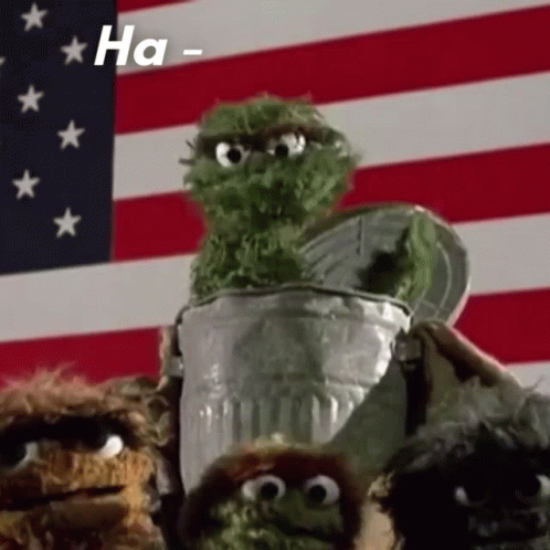 Sesame Street Characters in Front of American Flag