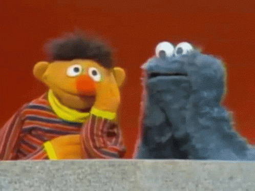 Sesame Street Ernie With Cookie Monster GIF
