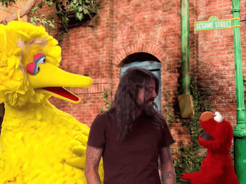 Sesame Street Team Up With Foo Fighters GIF