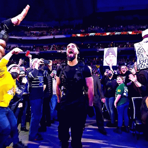 Seth Rollins Celebrating With The Crowd GIF