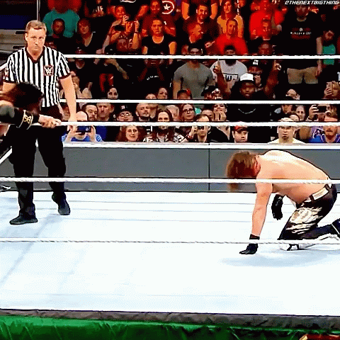 Seth Rollins Curb Stomp Knockout GIF