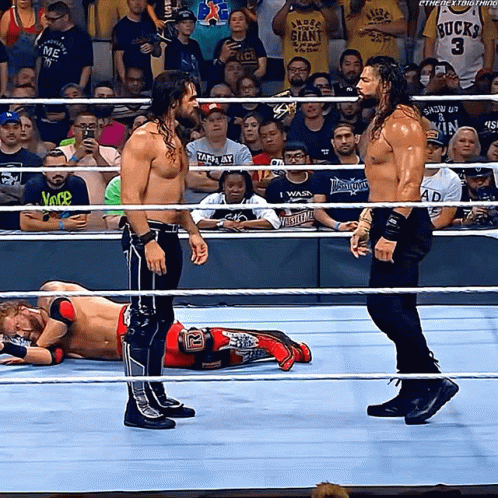 Seth Rollins Fights On The Ring GIF