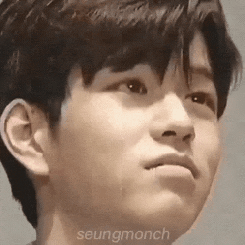 Seungmin Skz Sweetest Facial Expression GIF