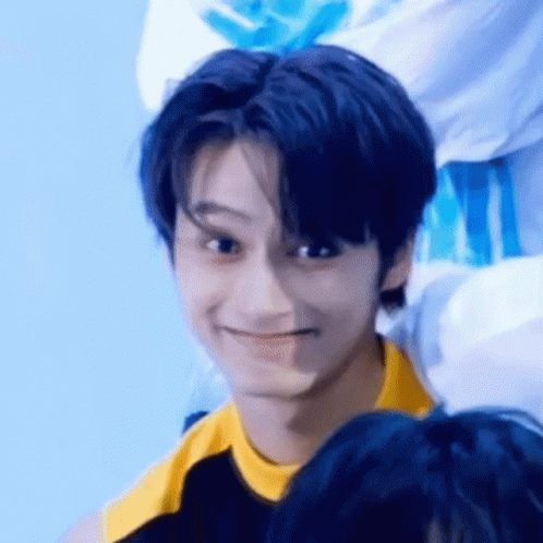 Seventeen Cat Wen Junhui GIF
