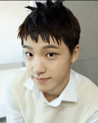 Seventeen Dino Lee Chan GIF