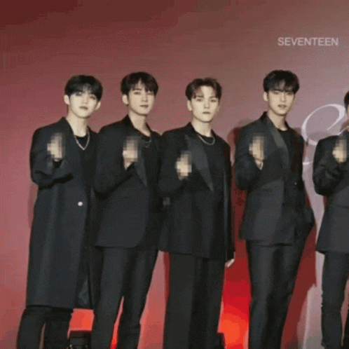 Seventeen Fingers Hearts GIF