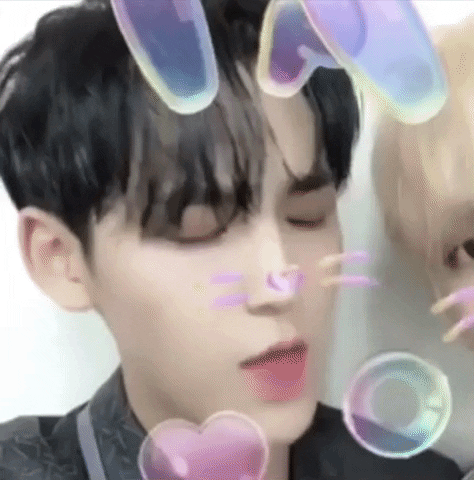 Seventeen Mingyu Bunny Effect GIF