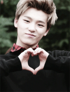 Seventeen Rapper Dino GIF