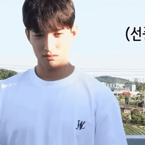 Seventeen Sad Mingyu GIF