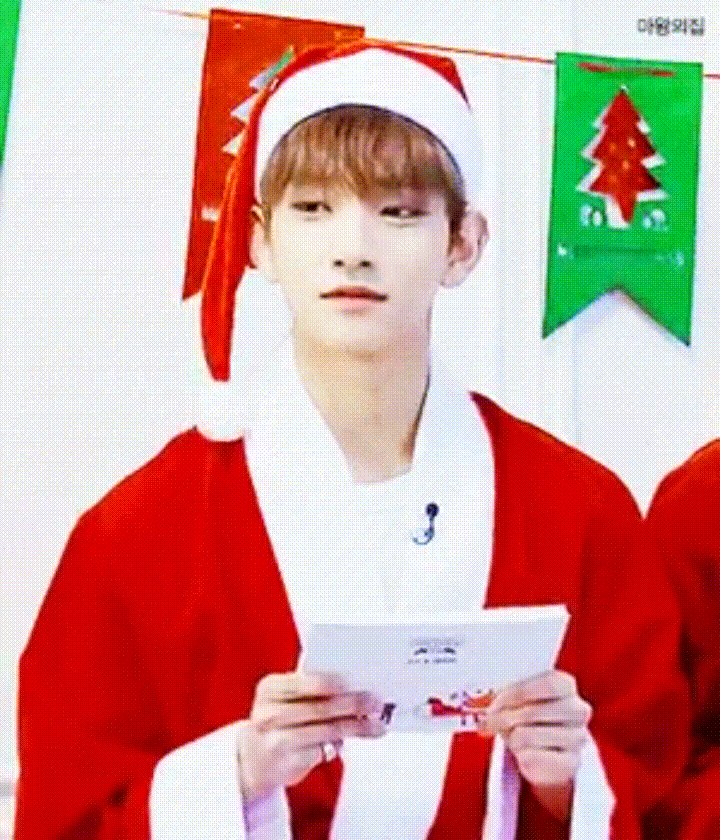 Seventeen Santa Joshua Hong GIF