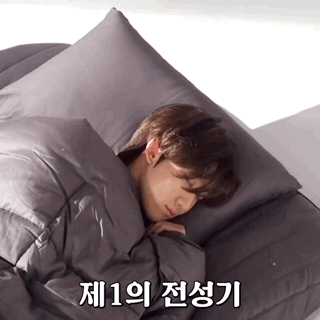 Seventeen Sleeping Smiling GIF