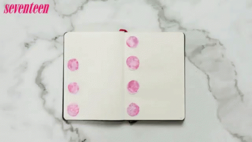 Seventeen Weekly Agenda GIF