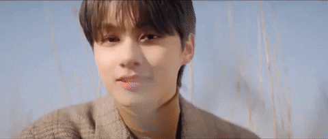 Seventeen Wen Junhui Sunset GIF