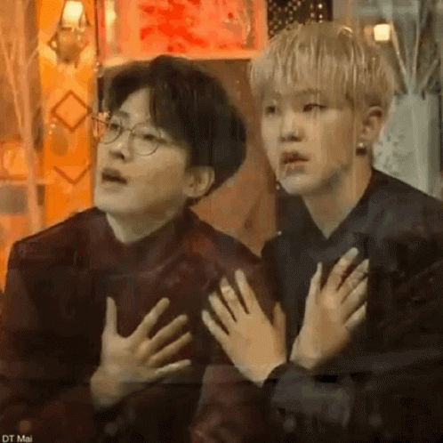 Seventeen Wonwoo Hoshi GIF