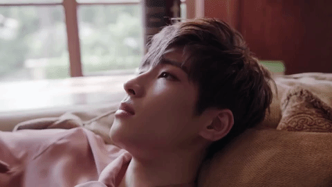 Seventeen Wonwoo Lie Down GIF